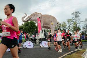 BIB: 
                            <button type="button" onclick="openModal(26528336)" class="btn btn-primary btn-sm float-right btn-popup" data-toggle="modal" data-target=".modal-high-quality">
                        <i class="fas fa-shopping-cart"></i> Add to Cart
                    </button>
                                            <button type="button" onclick="isThisMe(26528336, true)" class="btn btn-success btn-sm float-right btn-popup btn-isme hidden" data-toggle="tooltip" data-placement="bottom" title="นี่คือรูปของคุณใช่ไหม คลิกที่นี่เพื่อเอาเข้าอัลบั้ม">
                        <i class="fas fa-plus"></i> Add to album
                    </button>
                    <button type="button" onclick="isThisMe(26528336, false)" class="btn btn-warning btn-sm float-right btn-popup btn-isnotme hidden">
                        <i class="fas fa-ban"></i> Remove from album
                    </button>